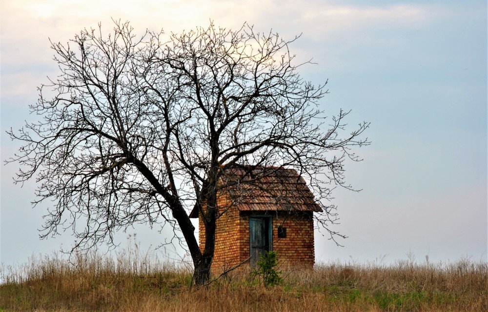 Friendship is a miracle