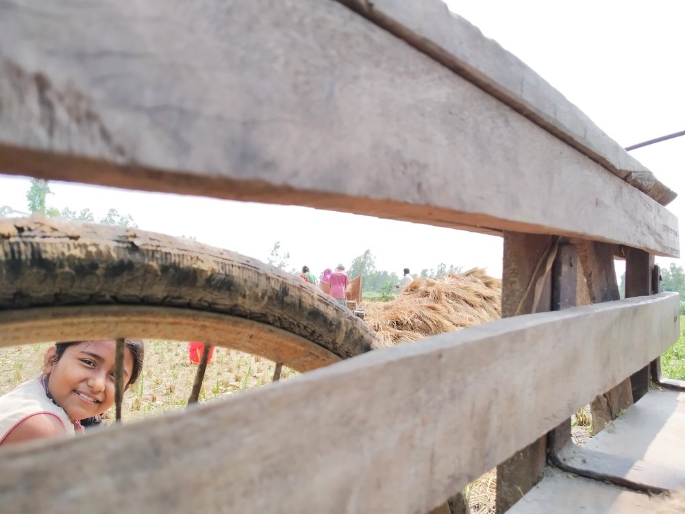 Photograph by Md Abu Sayeed Mondal