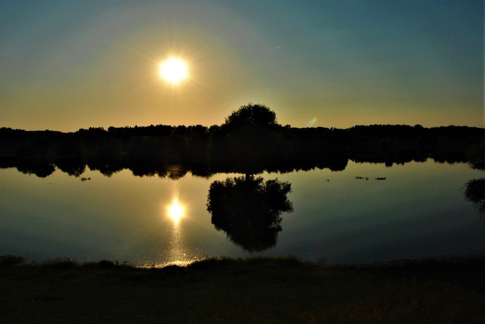 I sat by the river and cried