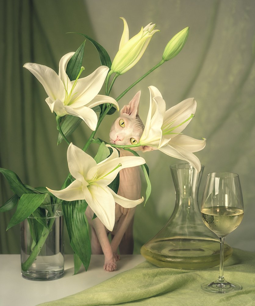 Зелёная прохлада