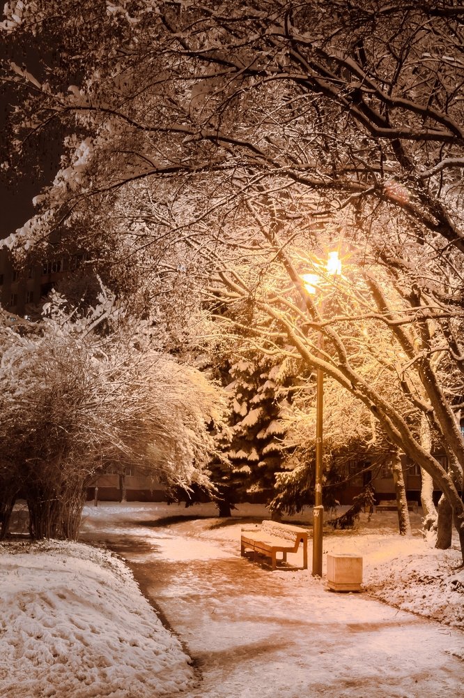 В зимнем сквере