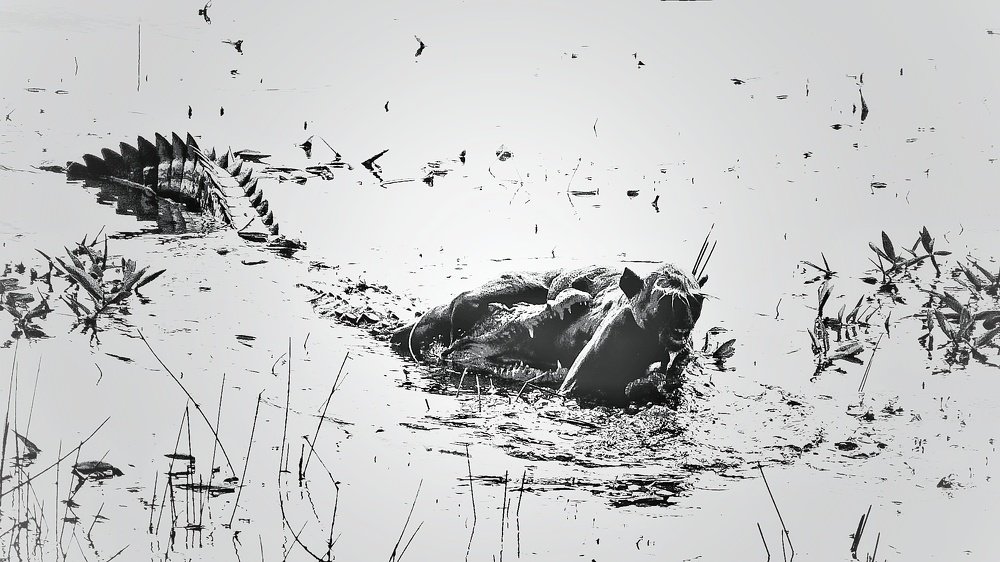 life and death drama