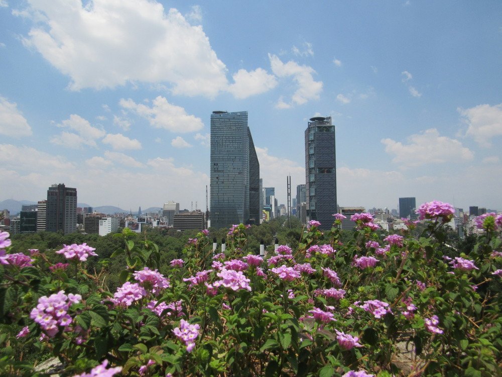 Flores y Ciudad