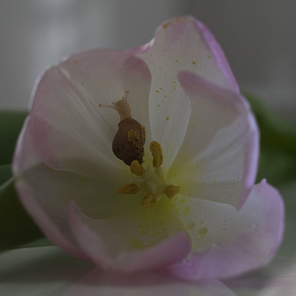 Photograph by Екатерина Вивюрская