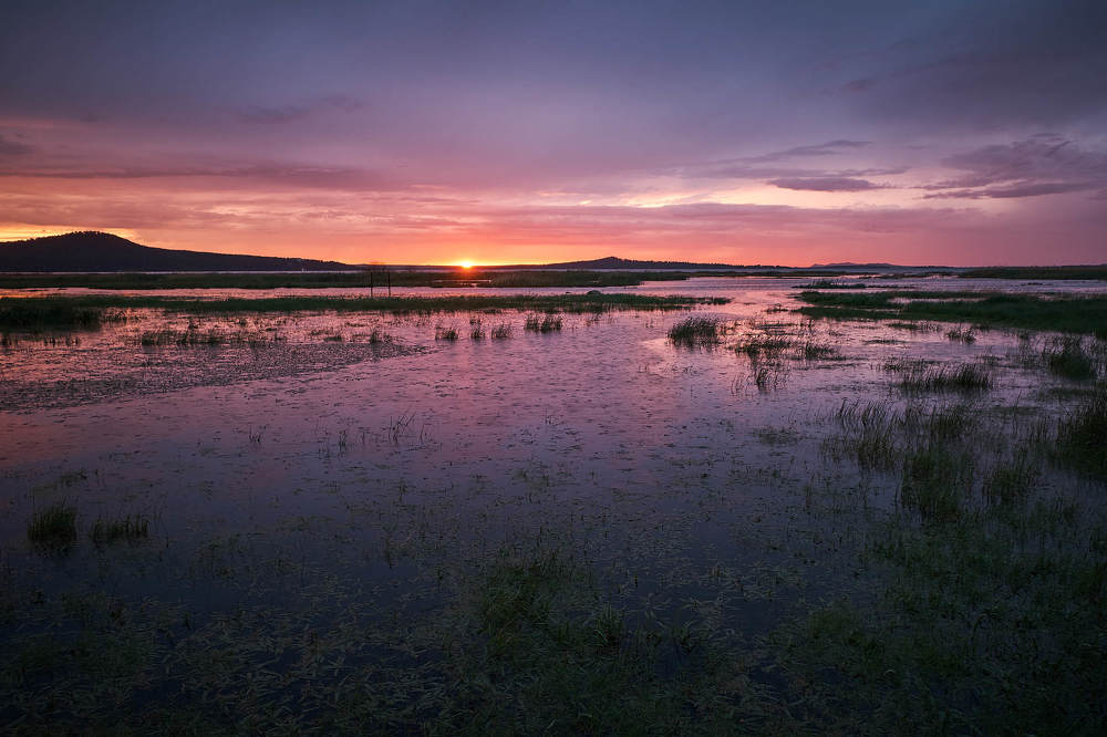 Дождь на закате