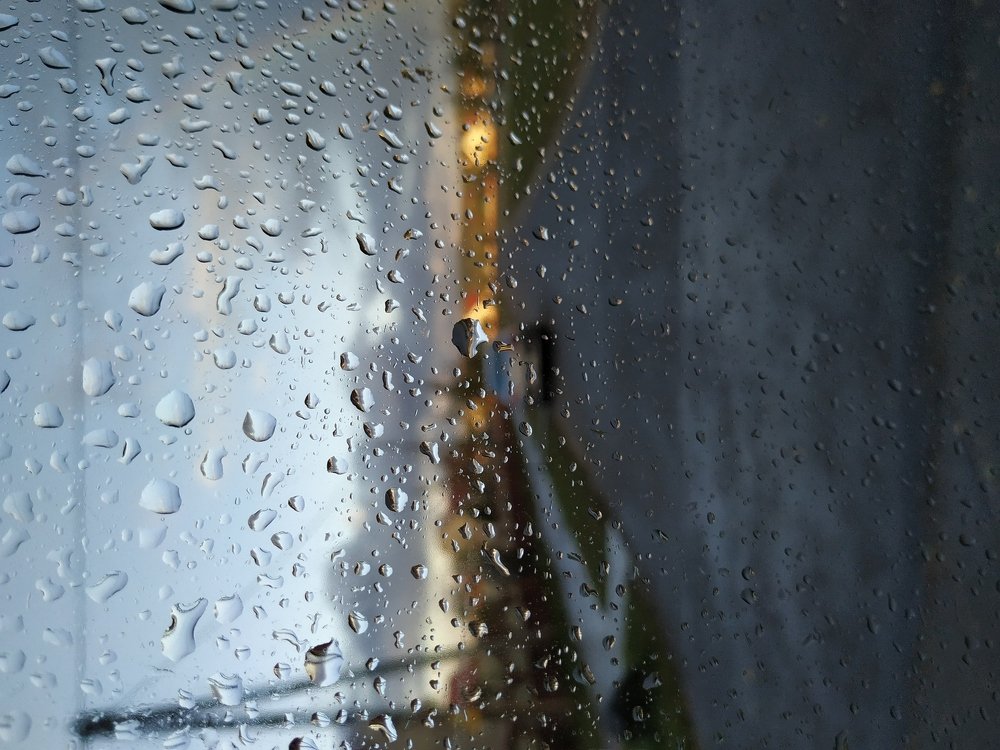 После дождя