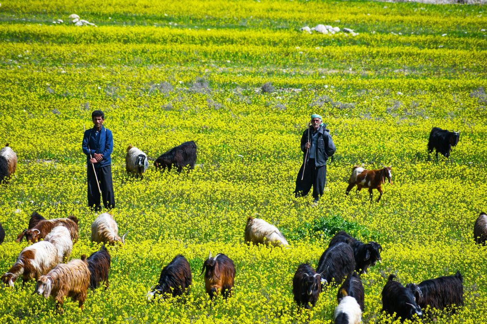 Photograph by Adl Abdolahi