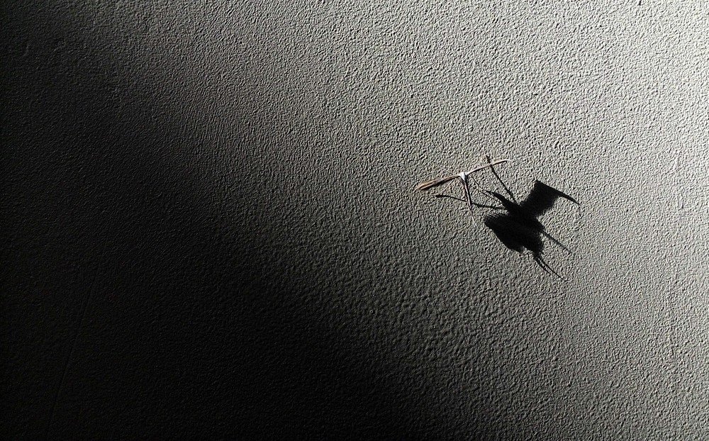 Свет и тени