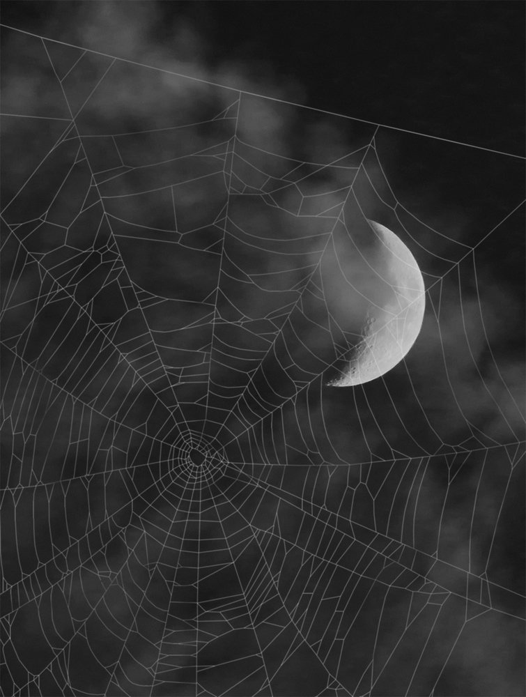 Photograph by Владимир