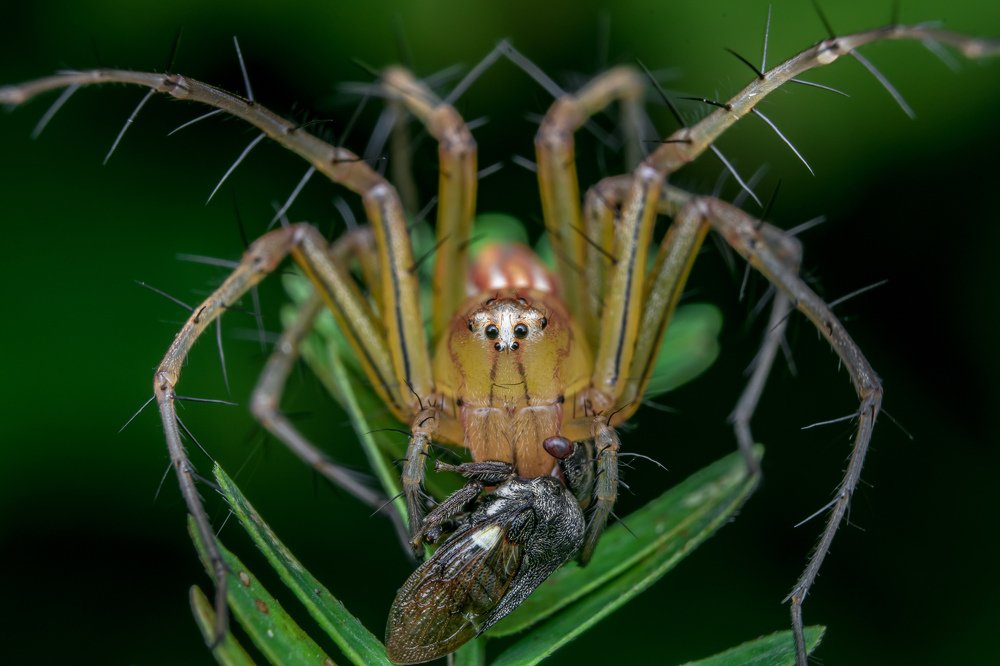 Photograph by achmad kamal kamal