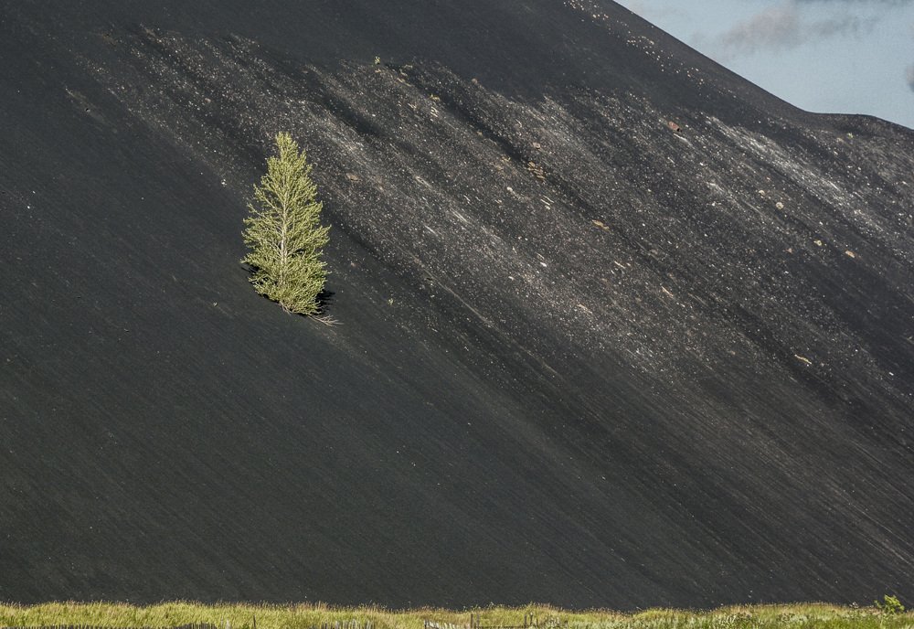 Photograph by Сергей Шварцман