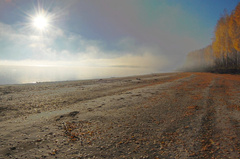 Осеннее утро