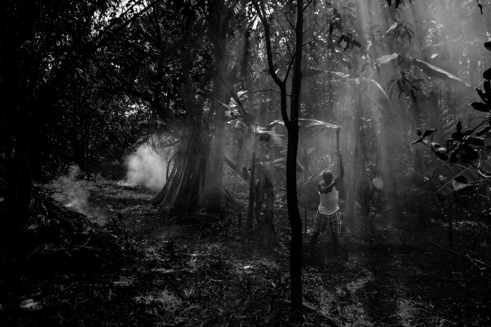 Plantation Worker in Goa