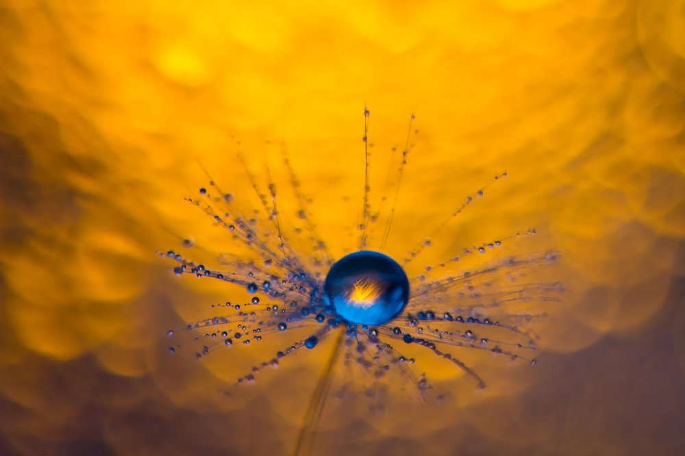 Синяя капля