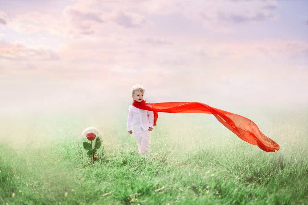 Маленький принц