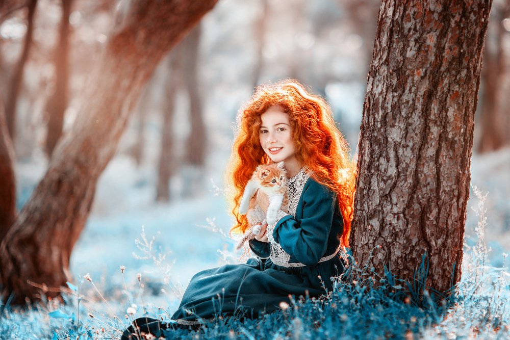 Сказочный лес