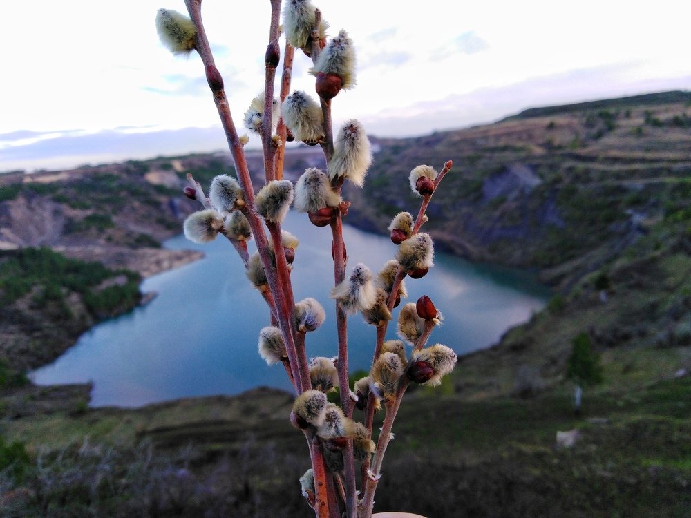 Начало весны