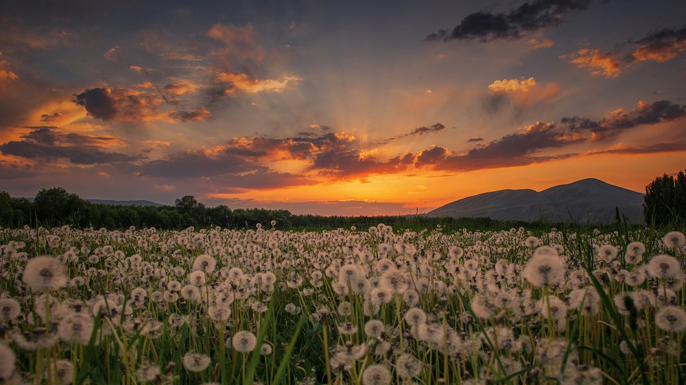 Майский вечер