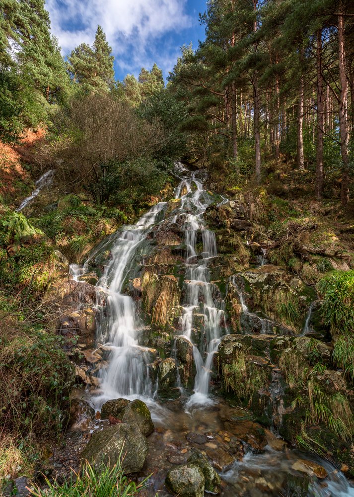 Carrawaystick waterfall