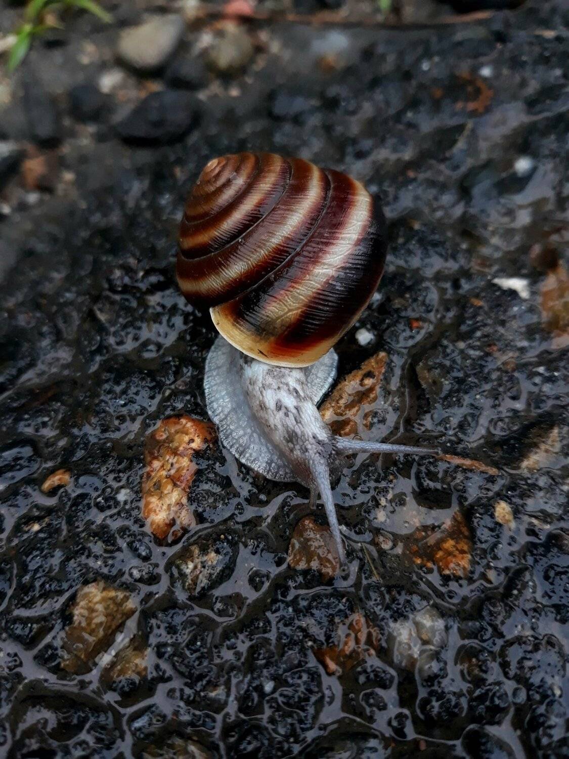 movement