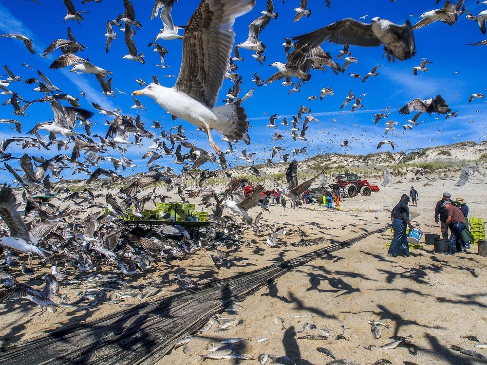Pescadores da Praia de Mira