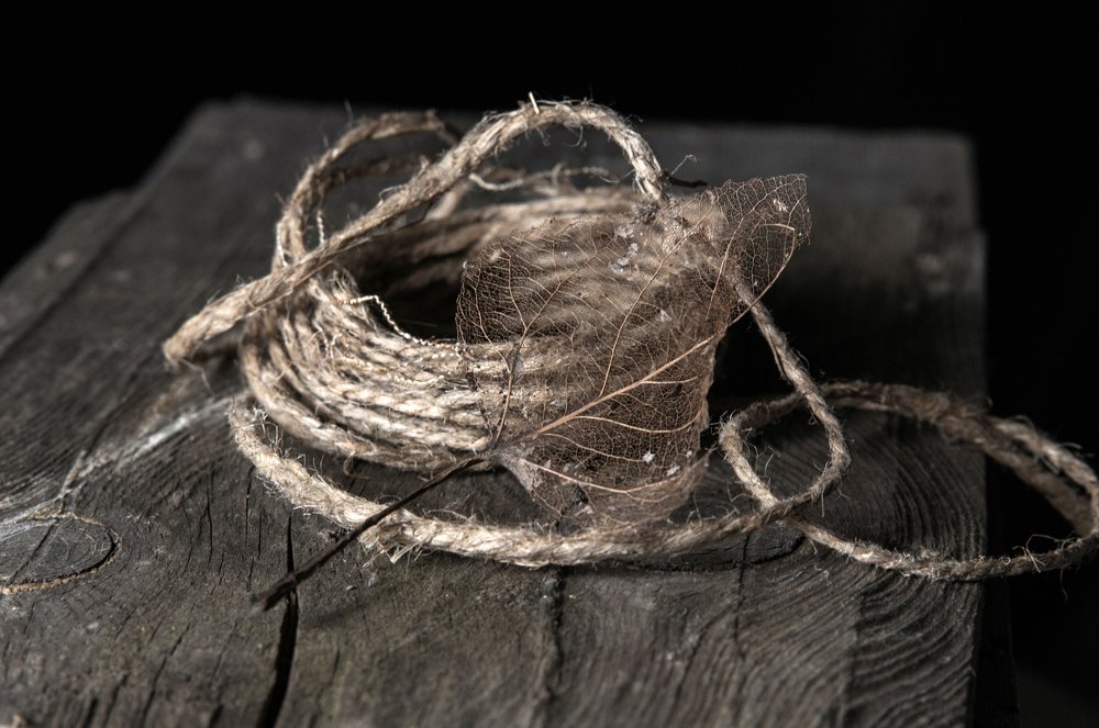 Прошлогодний лист