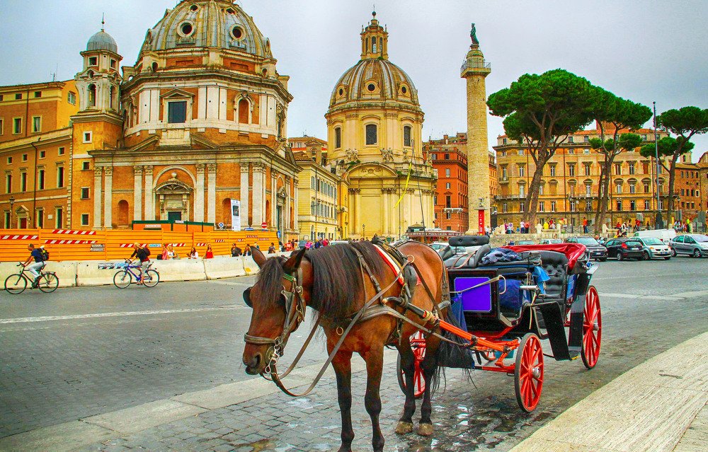 Photograph by Владимир Гречанинов