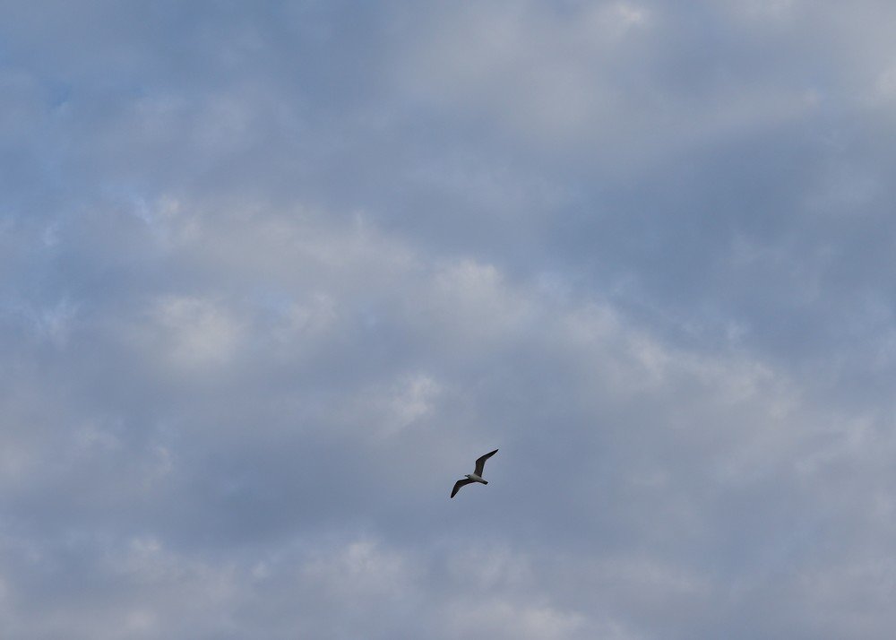 Одиночество в небесах