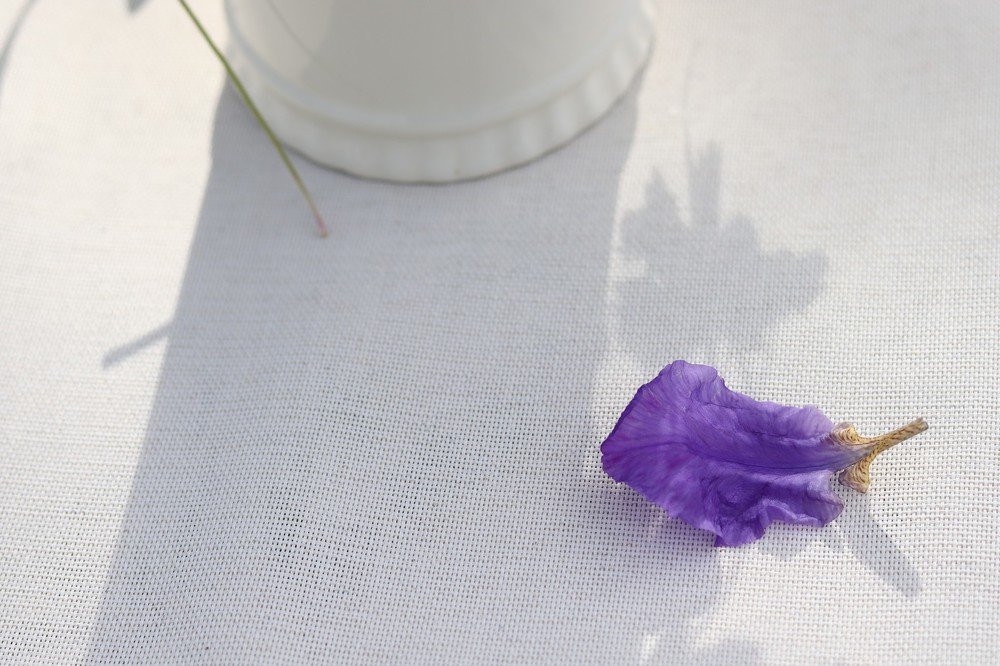 Одиночество