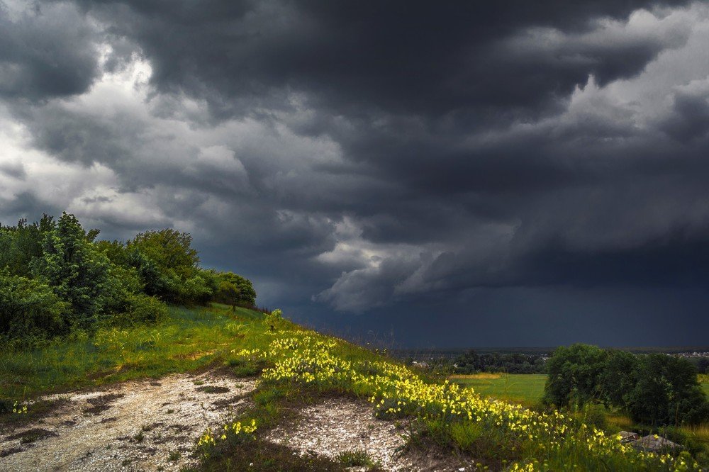 Перед грозой.