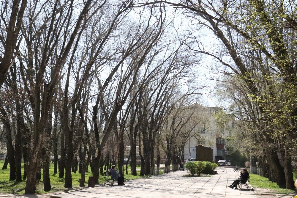 В парке в апреле. Феодосия.