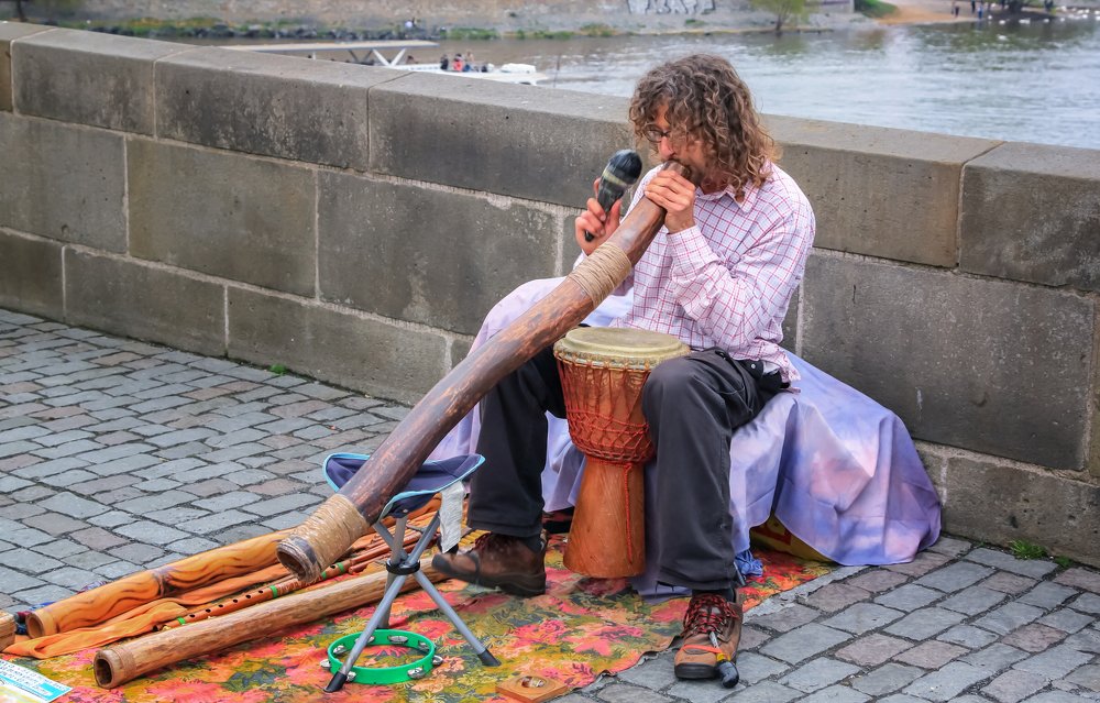 Пражский музыкант