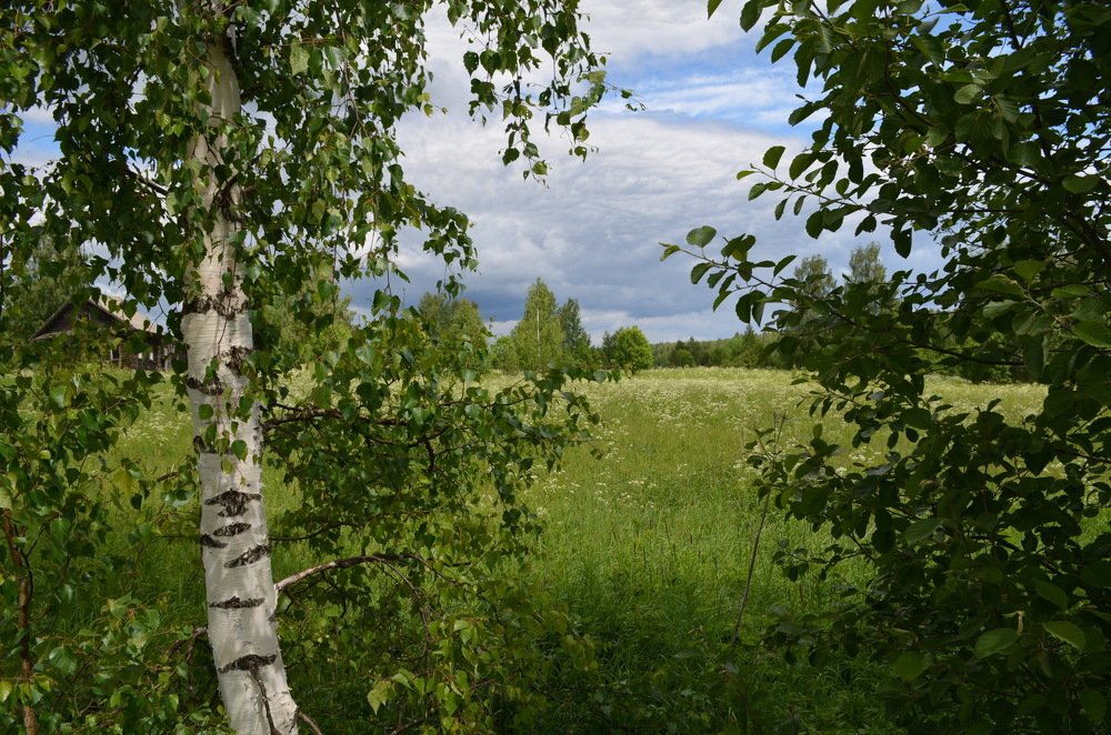 Разгар лета