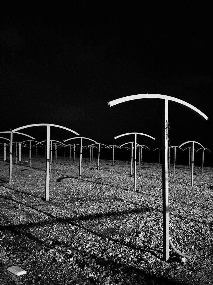 Кости пляжа