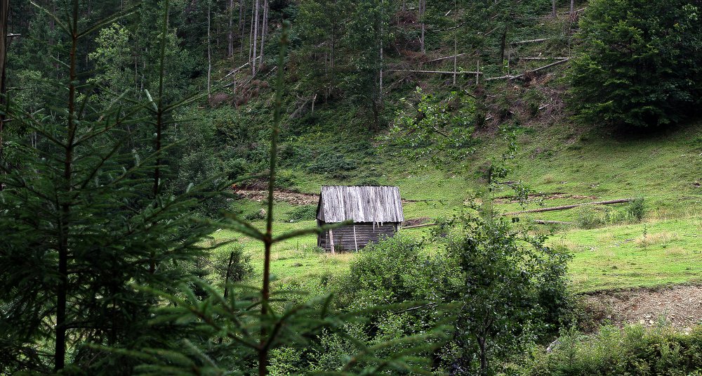 Photograph by Сергей Мордань