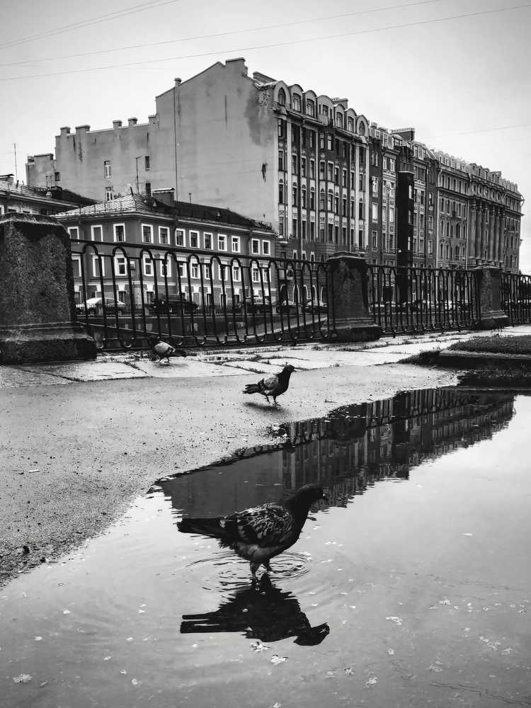 Photograph by Андрюс