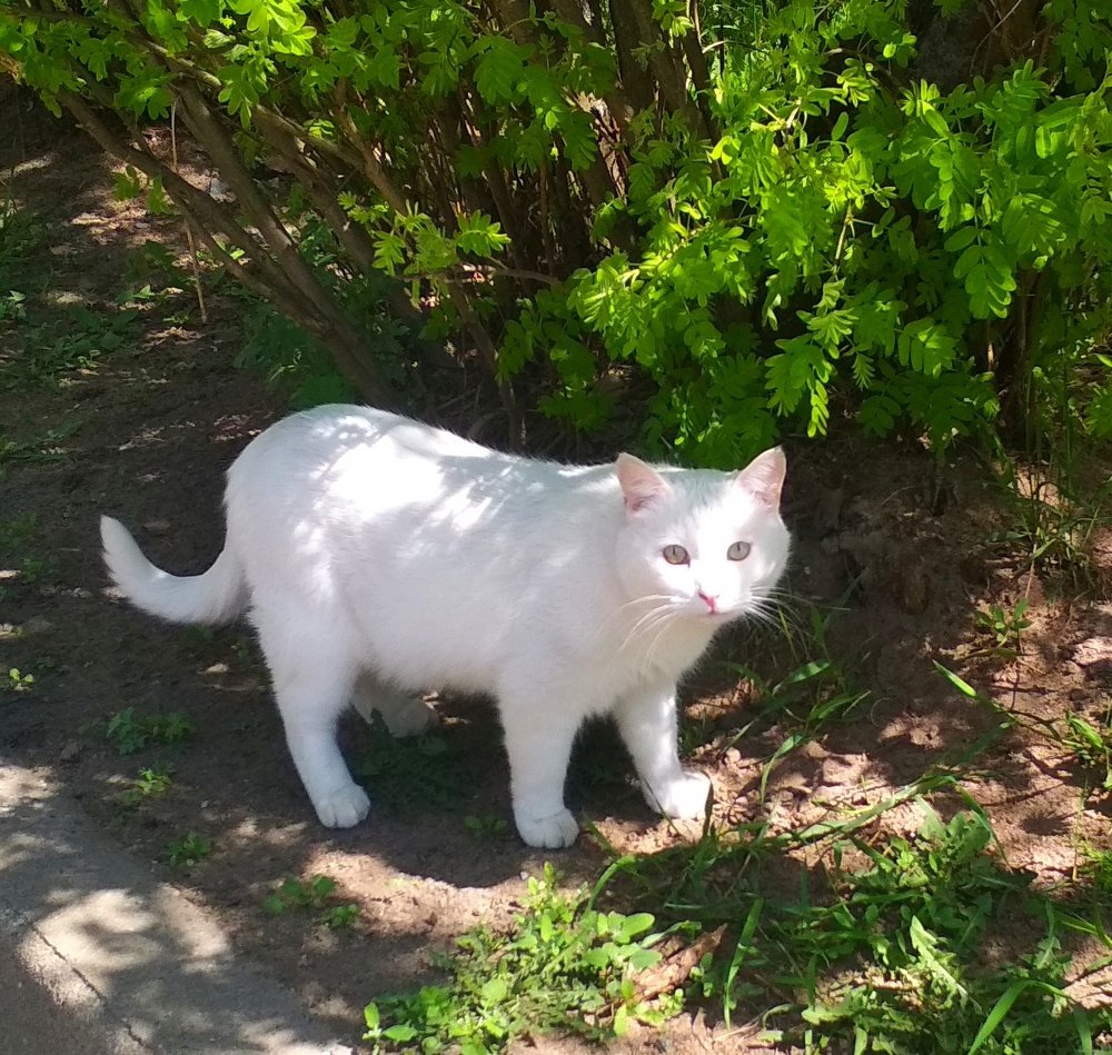 Photograph by Любовь Макарова