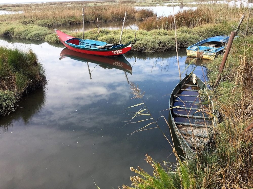 Photograph by António Magalhães