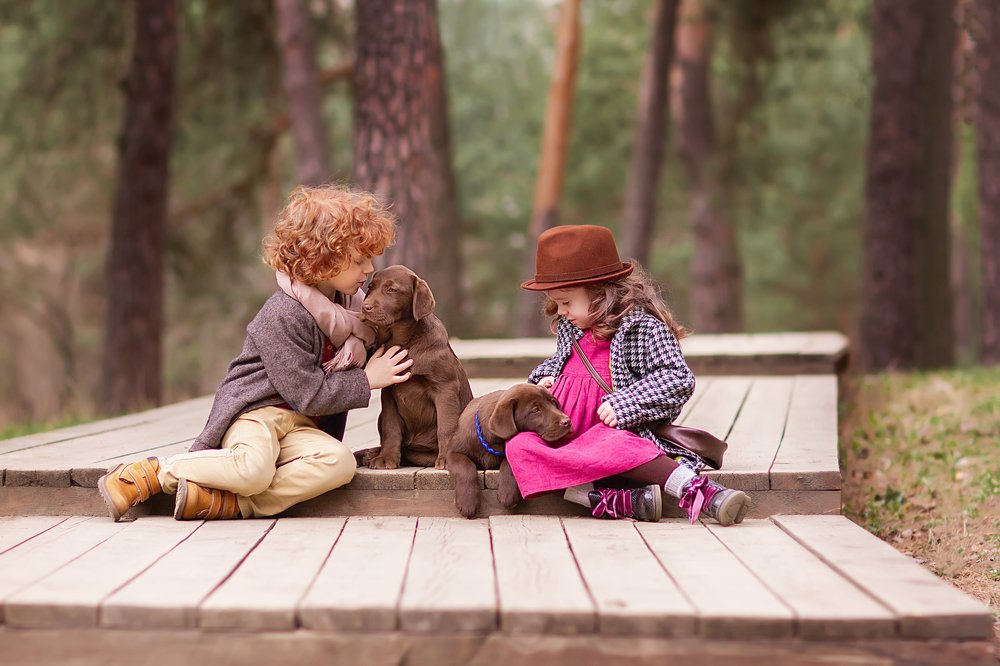 Детки и собачки