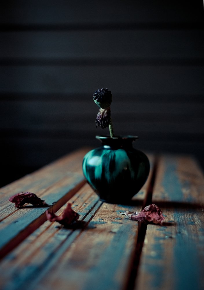 Photograph by Наталья Никитина