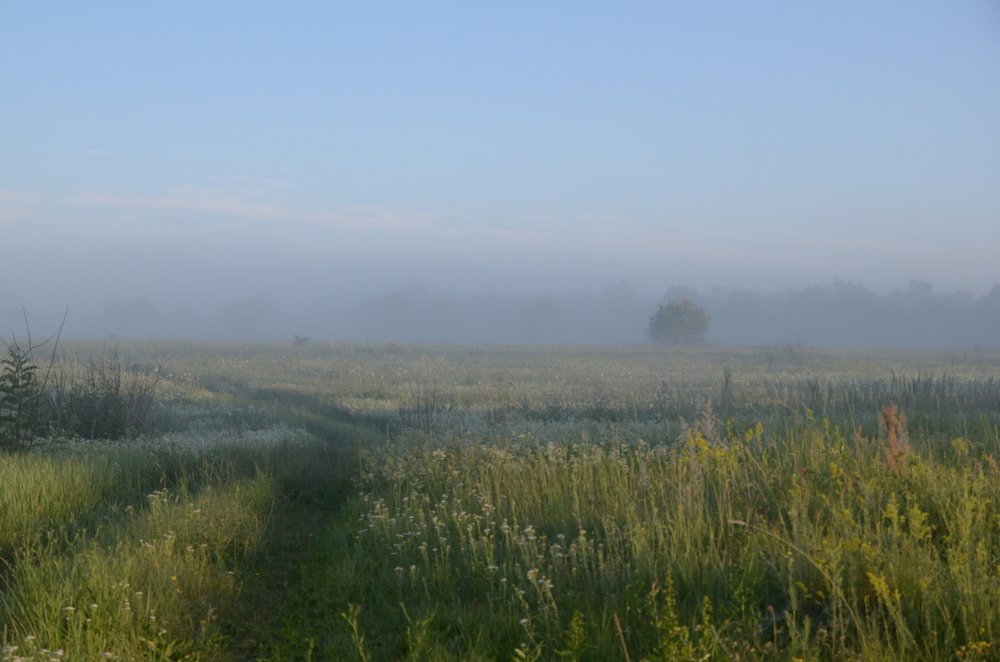 Эх, дороги...