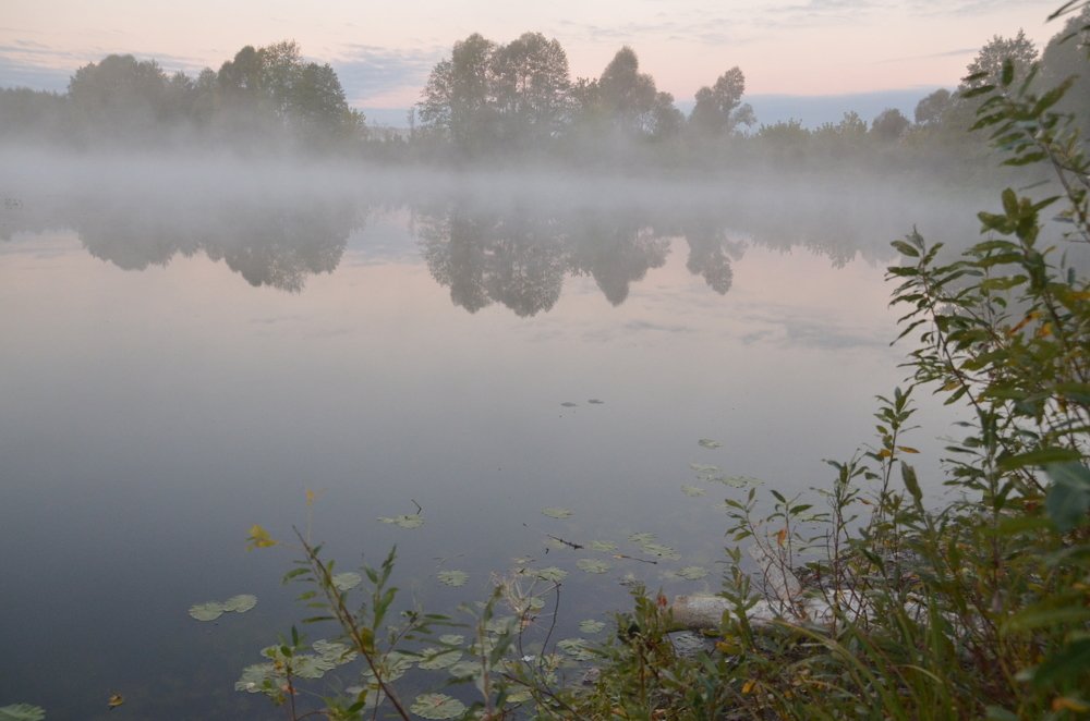 Фотография автора Владимир Брызгунов