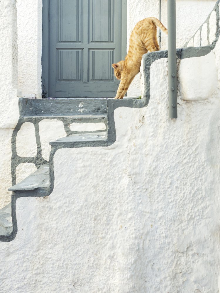 Photograph by Ольга Беккер