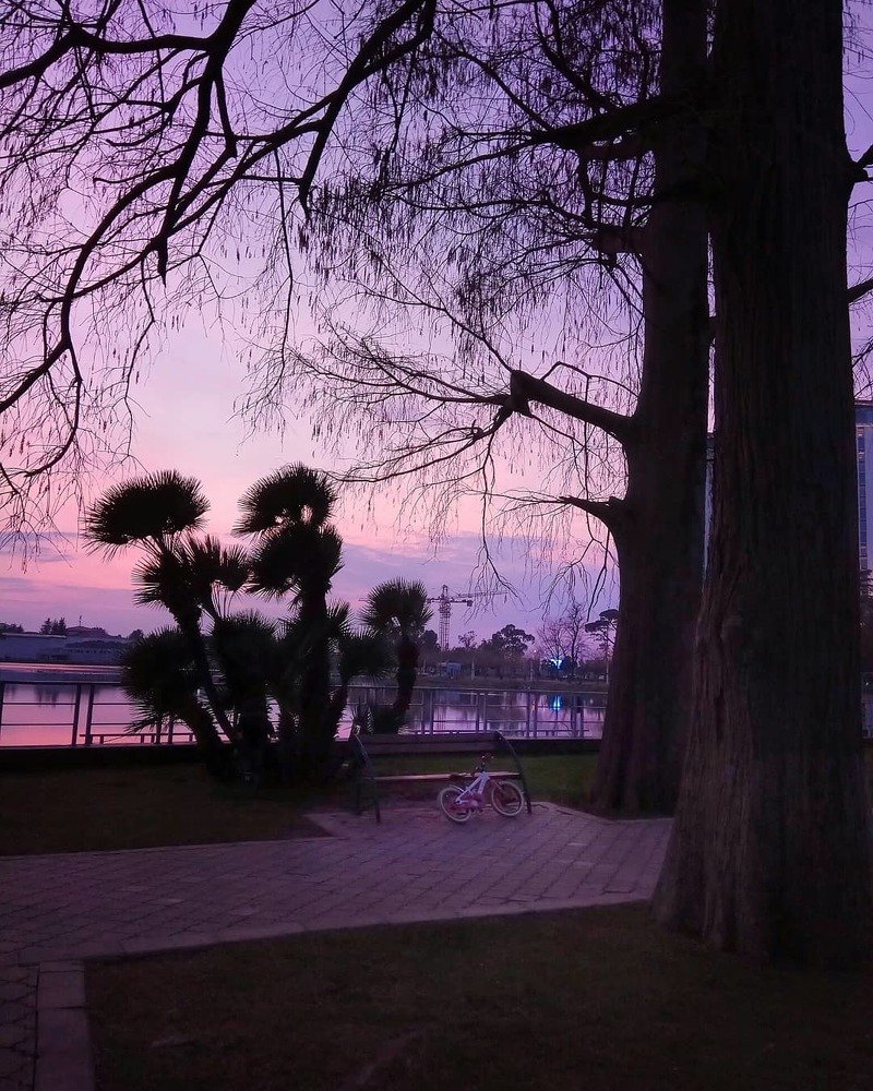 " Сиреневый вечер "