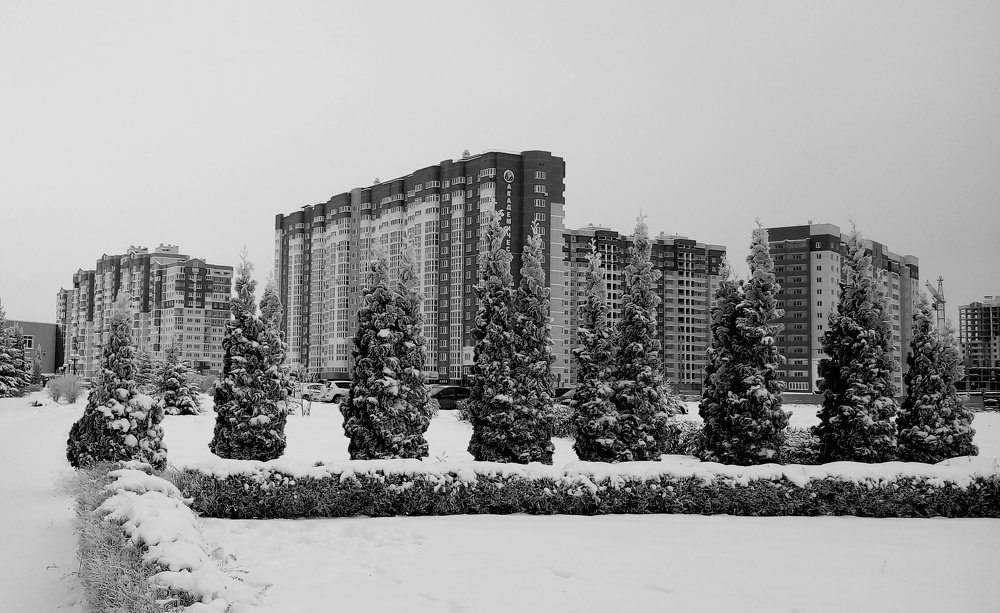 Новостройки