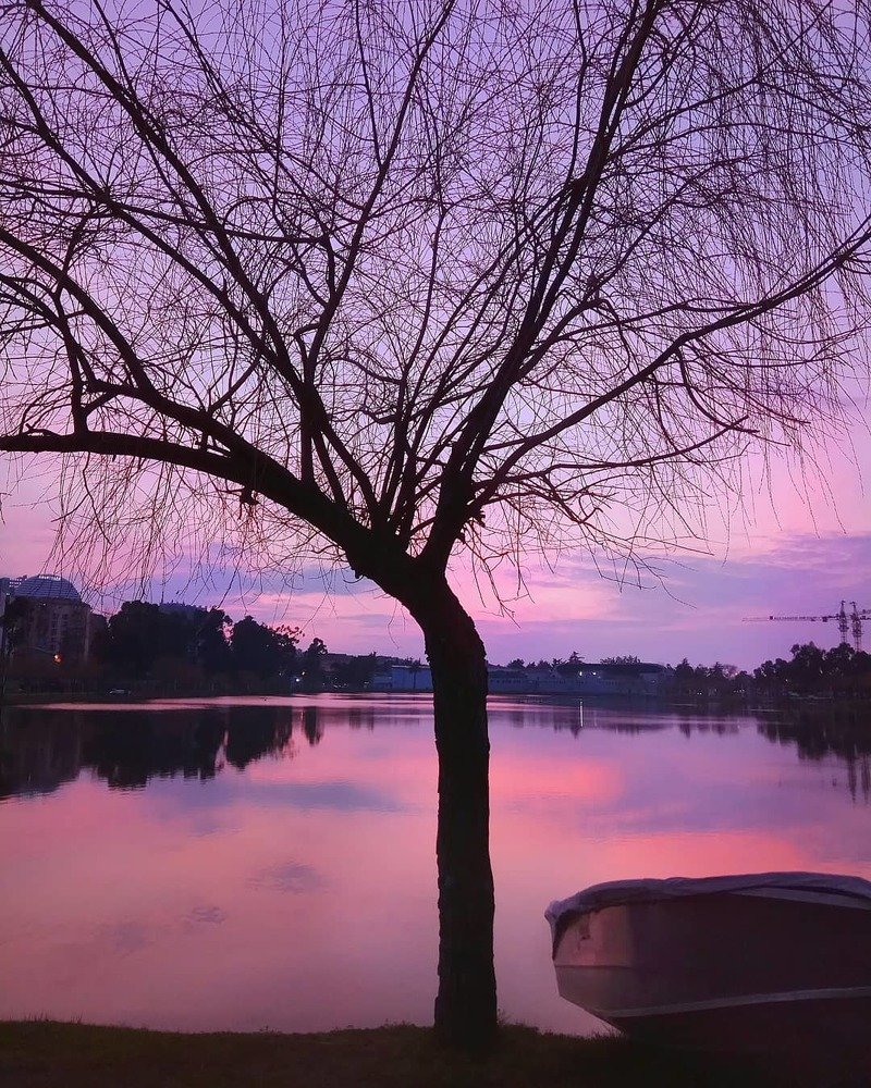 " Вечер цвета ~ Кармин "