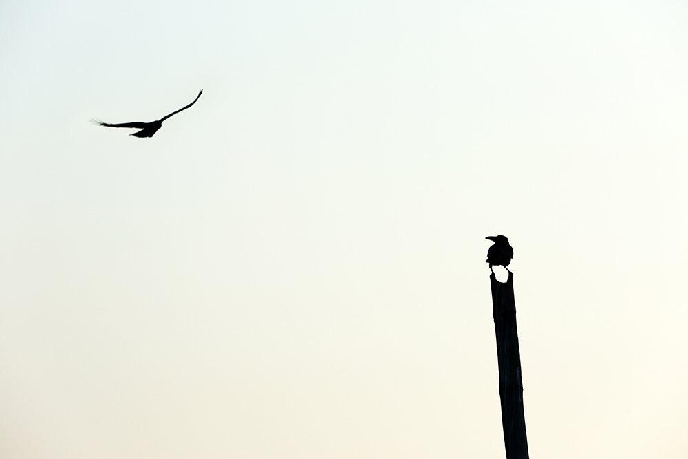 Photograph by Srimal Dissanayake