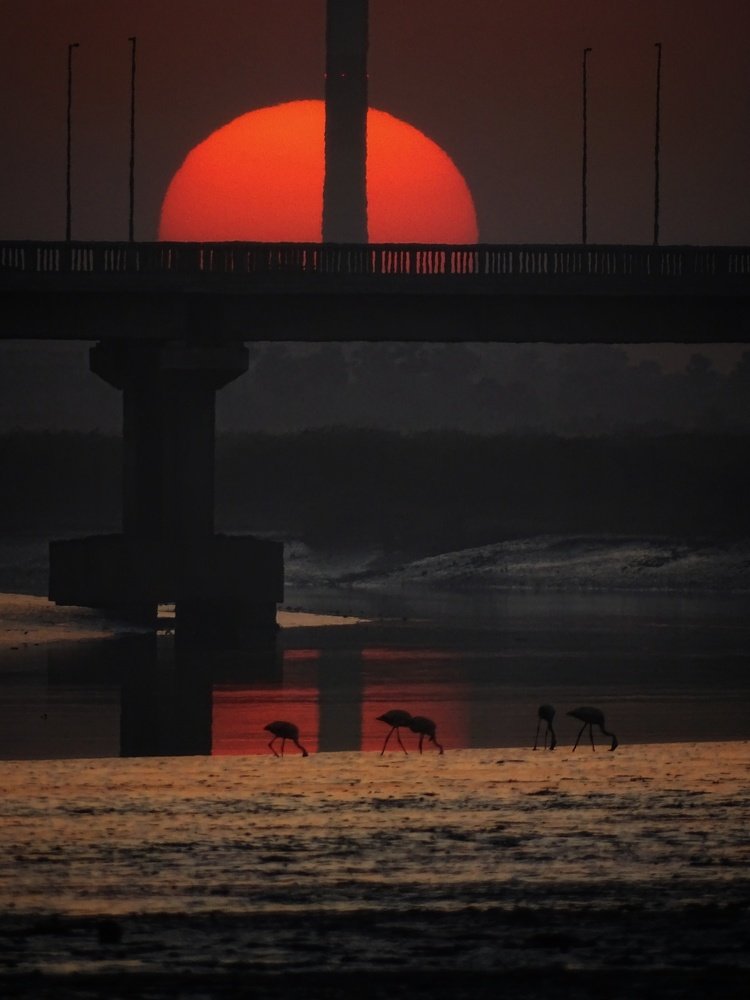 Shades of the golden hour