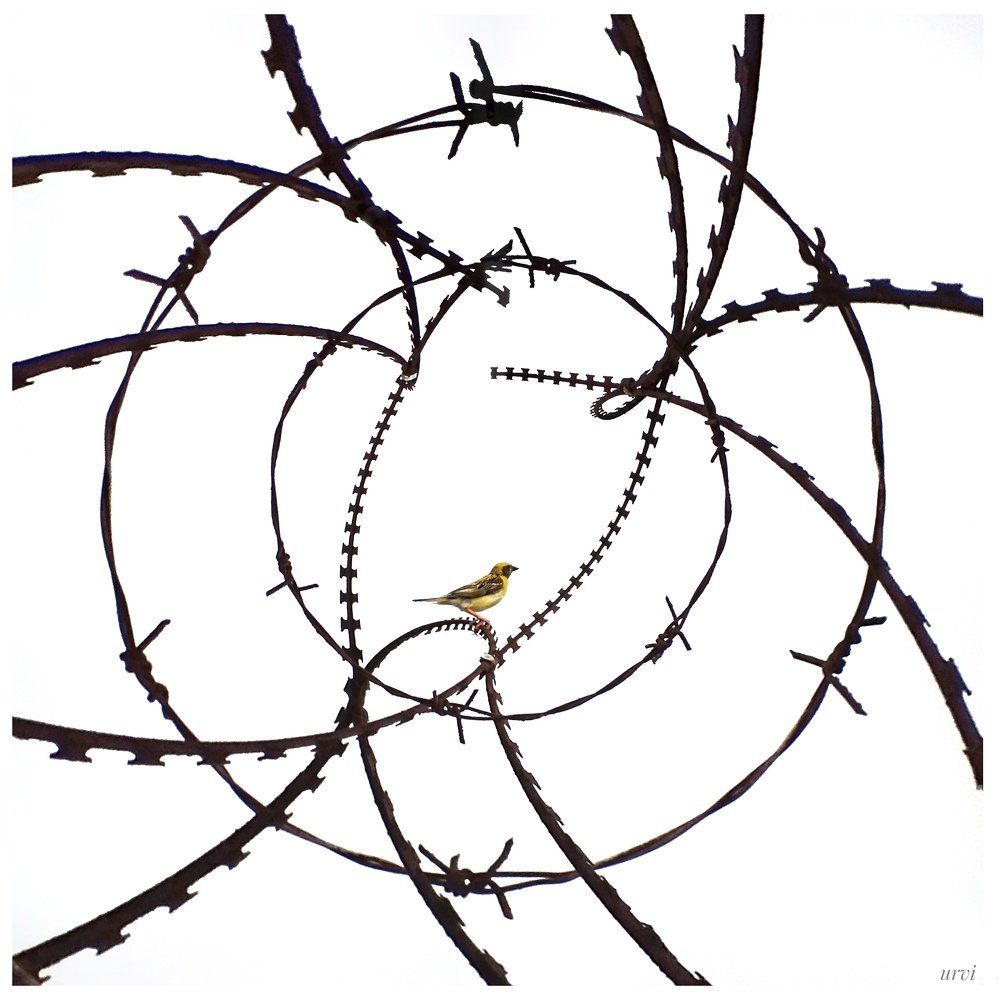 Development or Degradation?!