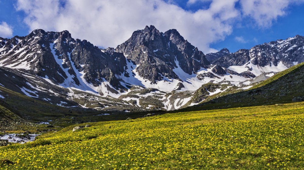 Photograph by Антон Литвин